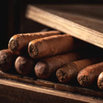 Experimenta la conexión humana con puros Empatía en Panamá