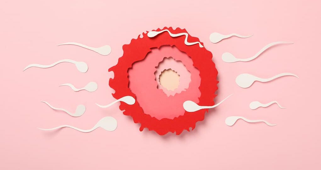 Síntomas de implantación del óvulo: consejos para personas de  Guatemala