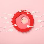 Síntomas de implantación del óvulo: consejos para personas de  Guatemala