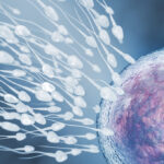 Síntomas tempranos del embarazo tras la fecundación: información para personas de  Chile