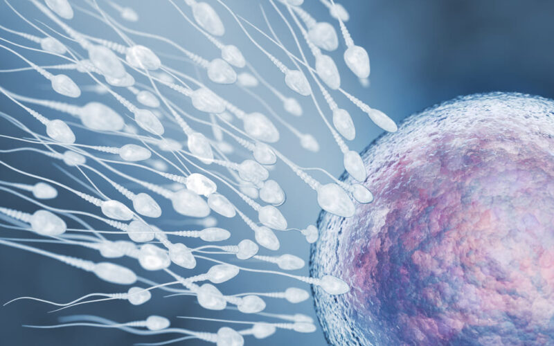 Síntomas tempranos del embarazo tras la fecundación: información para personas de  Chile